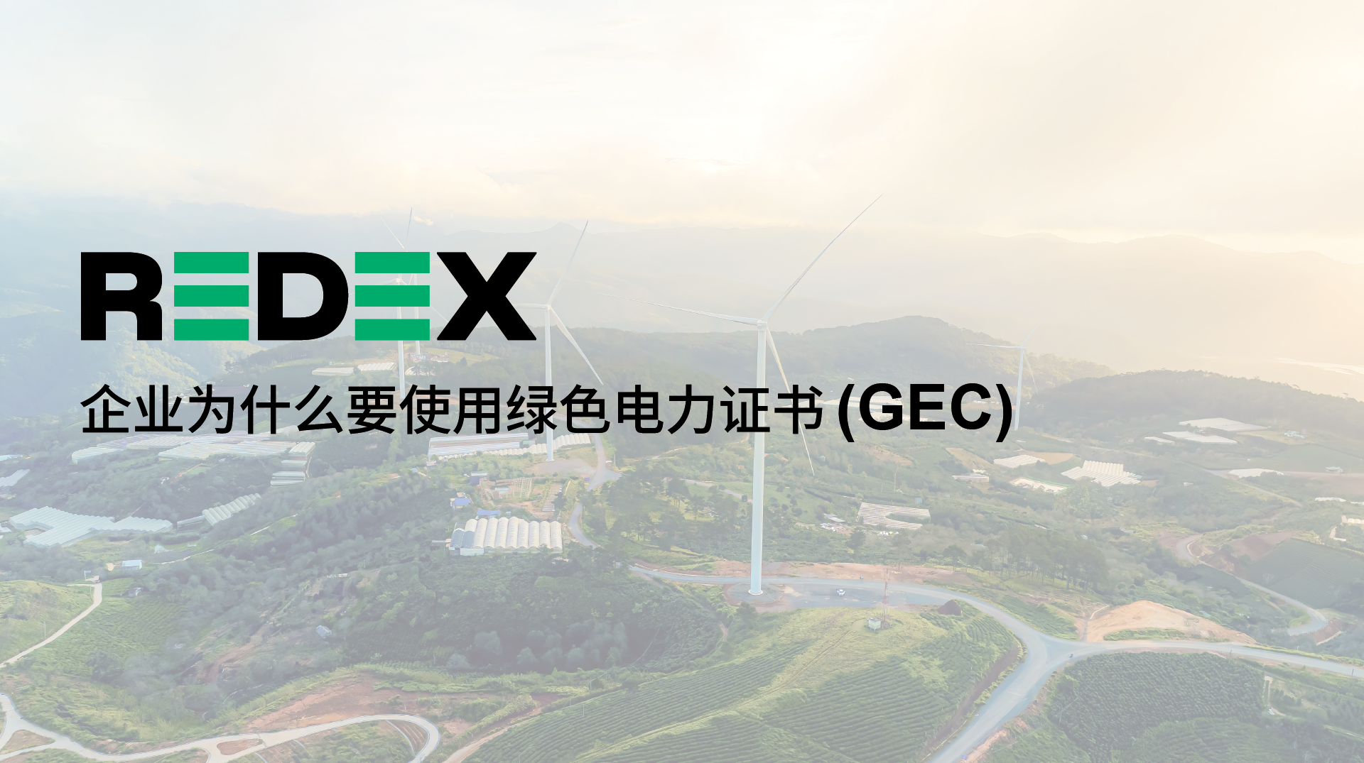 chinese blog visual 5.png